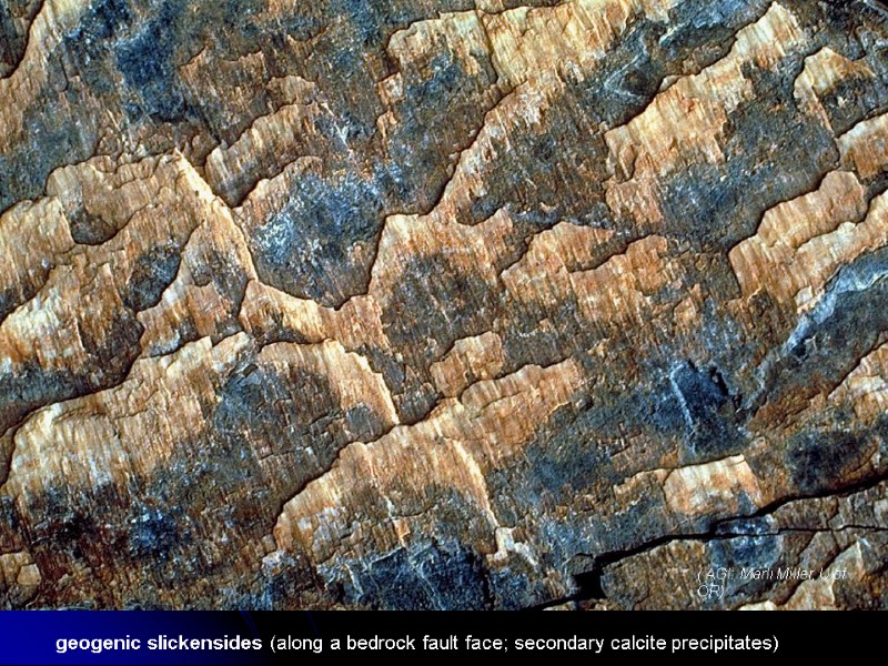 geogenic slickensides (along a bedrock fault face; secondary calcite precipitates) ( AGI: Marli Miller,